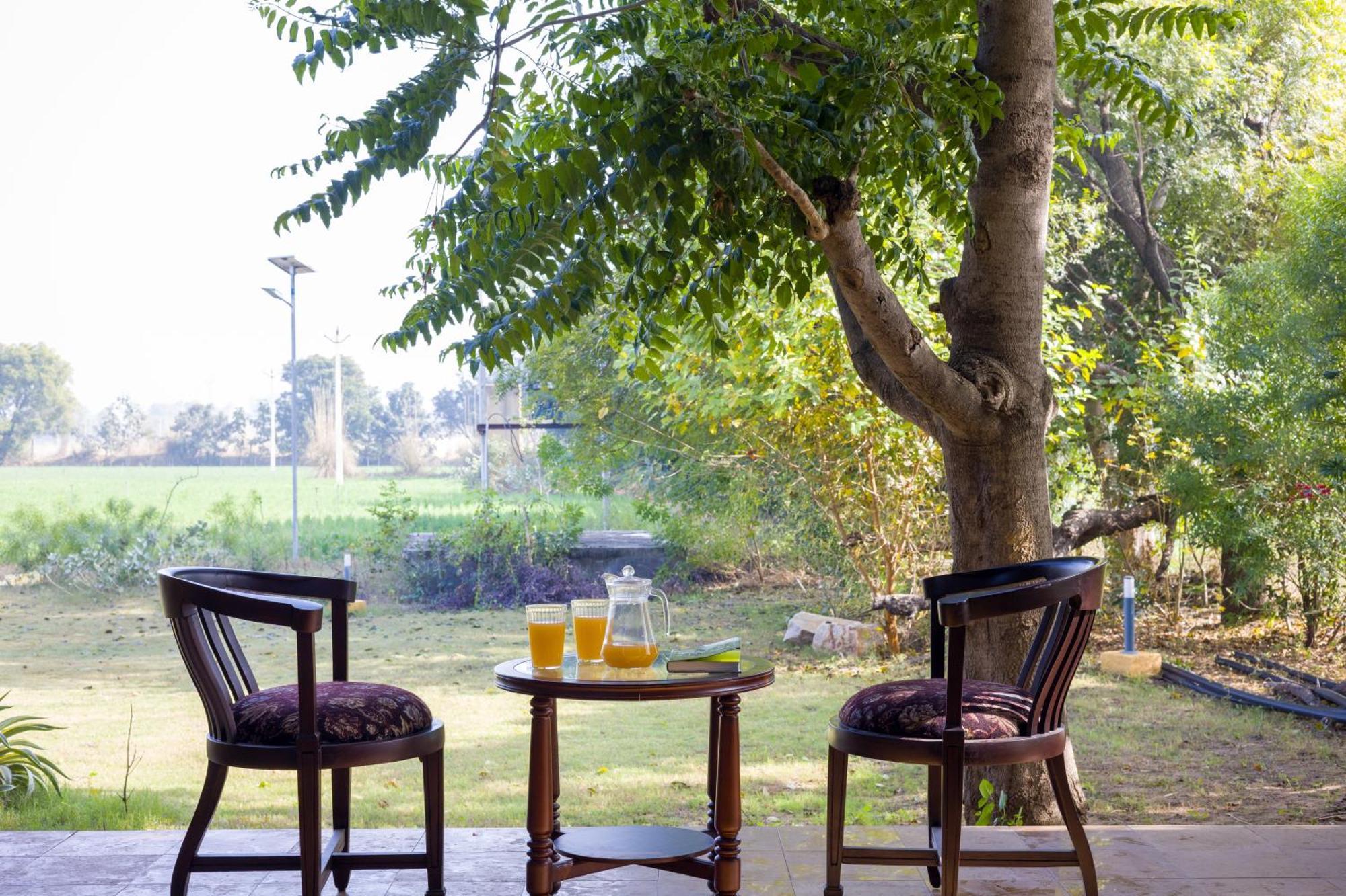Elivaas Hari Bagh 4 Bhk Villa With Gaming Zone & Art Nook Jaipur Eksteriør bilde